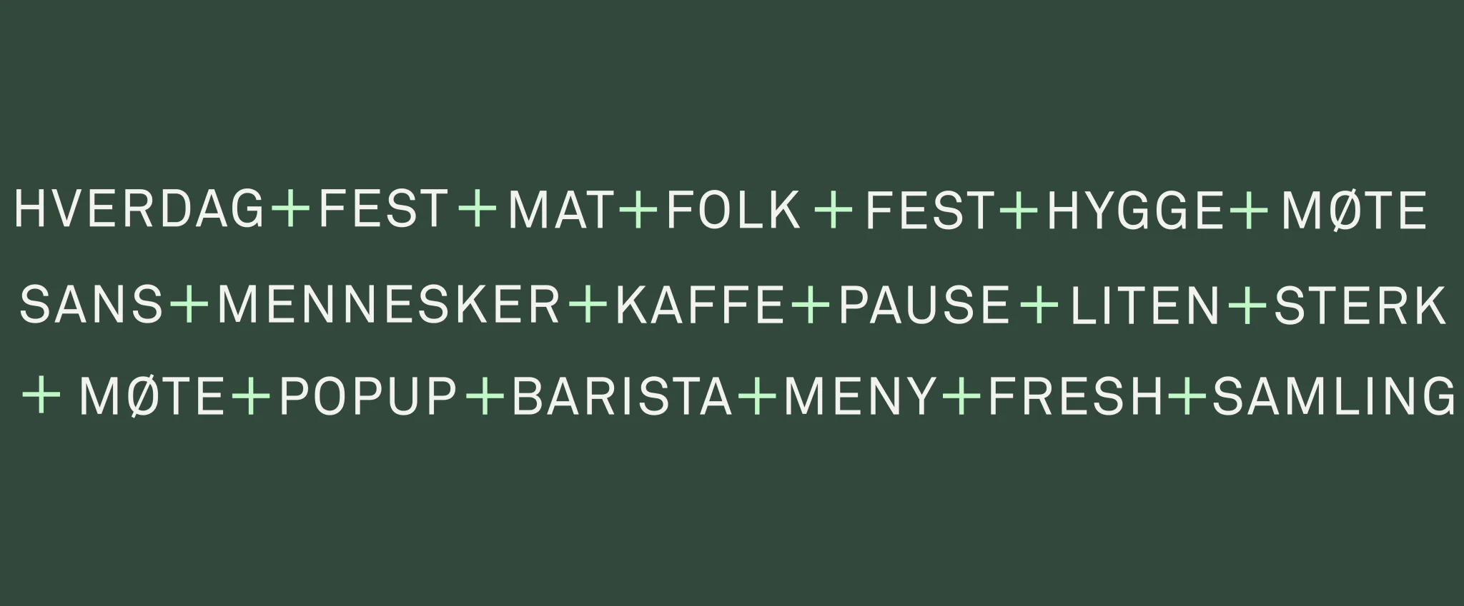 fg_sanssamling_pres-10