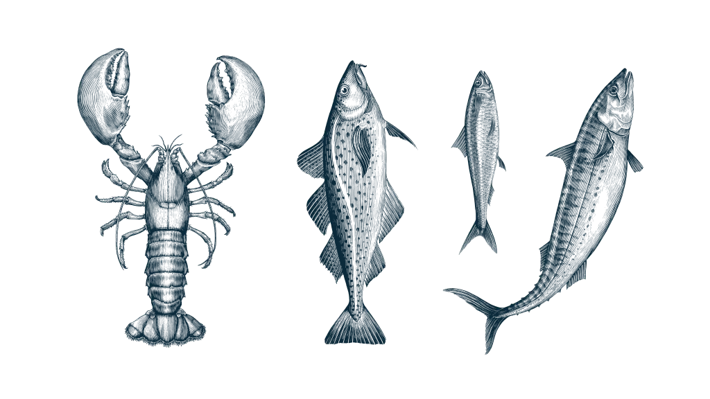 for_presentation3-03