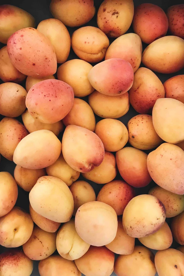 photo-1501746877-14782df58970