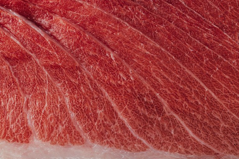 stocksy_txpfb95aa5argi300_large_5060700